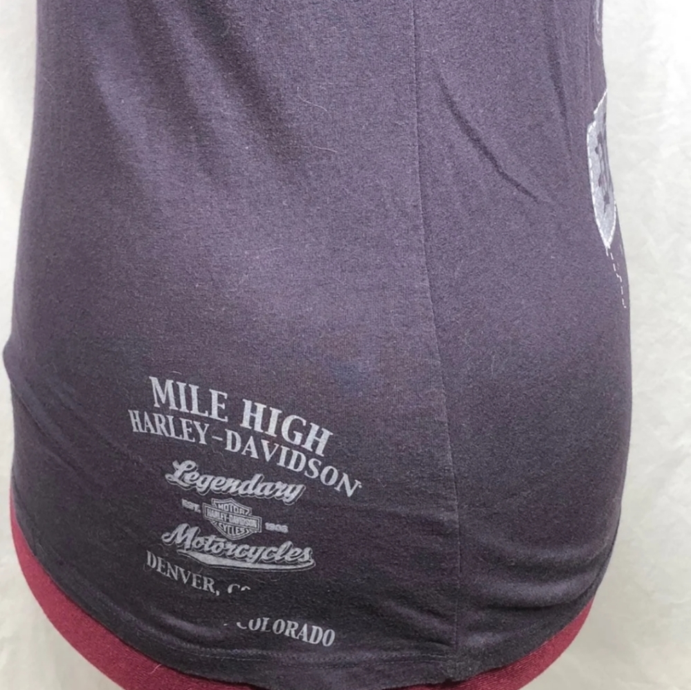 Harley-Davidson Eagle Print Tee - image 6